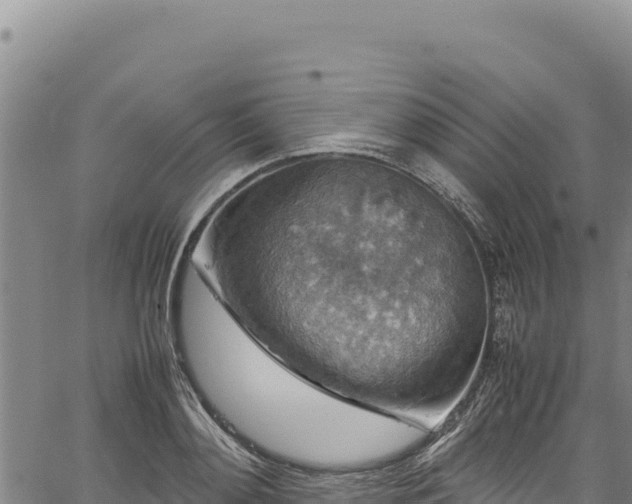 X0000064770892200602131313