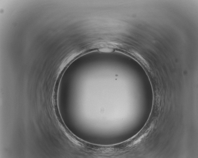 X0000064770893200602131313