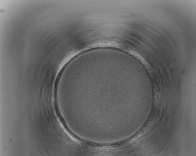 X0000064770894200602131313