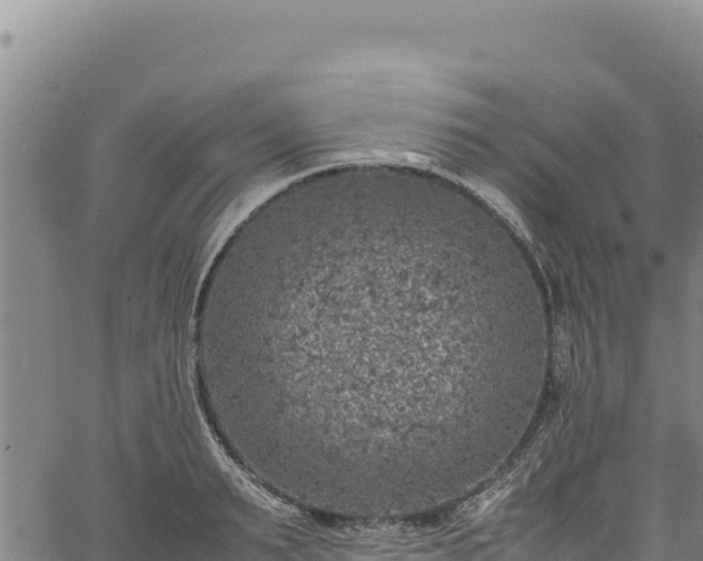 X0000064770895200602131313