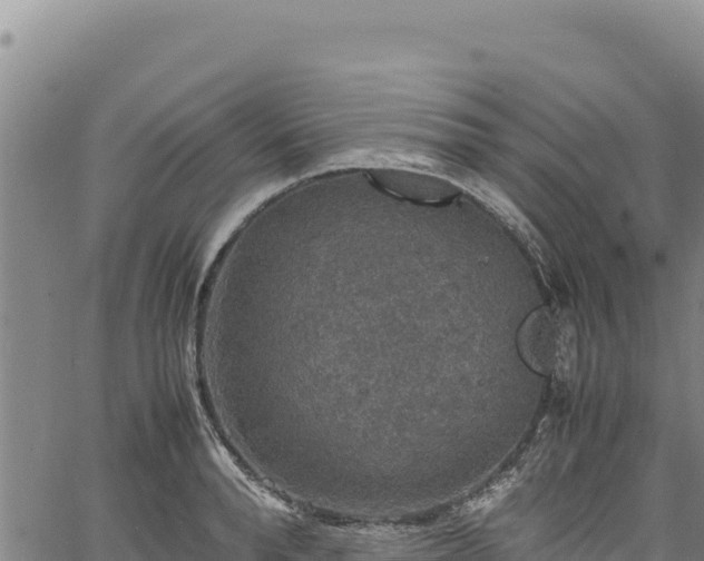 X0000064770896200602131313