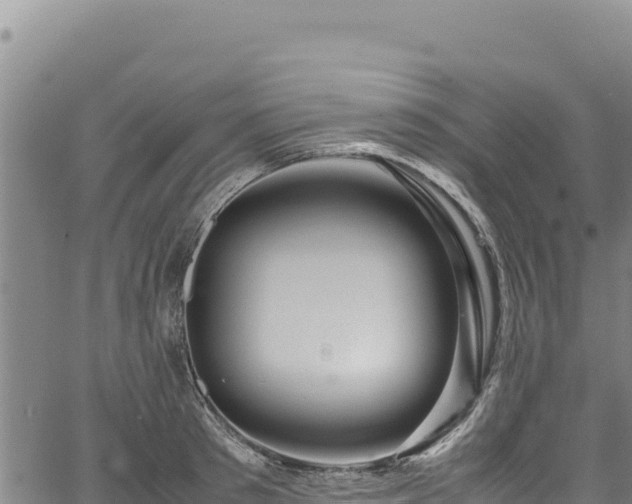 X0000064770897200602131313