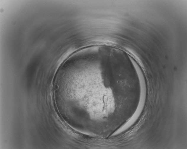 X0000064770899200602131313