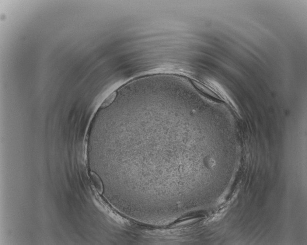 X0000064770900200602131313