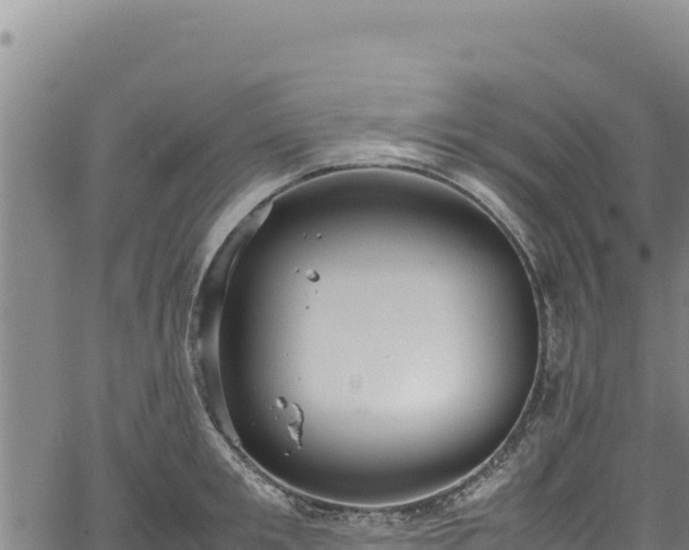 X0000064770901200602131313