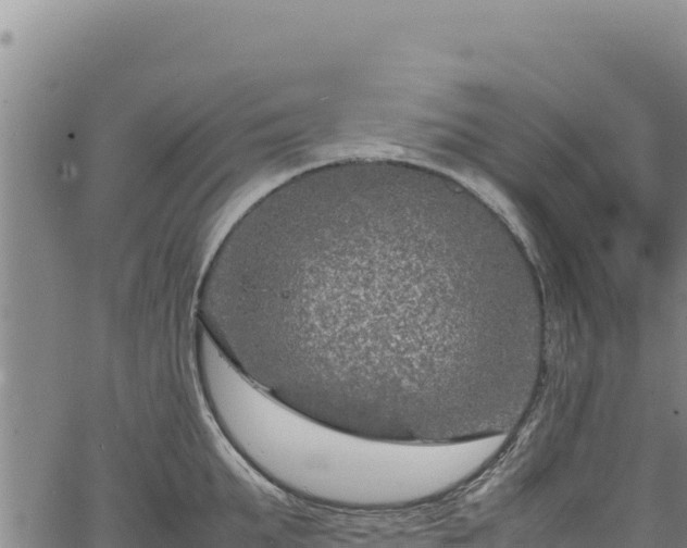 X0000064770903200602131313