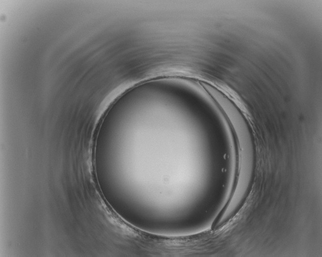 X0000064770904200602131313