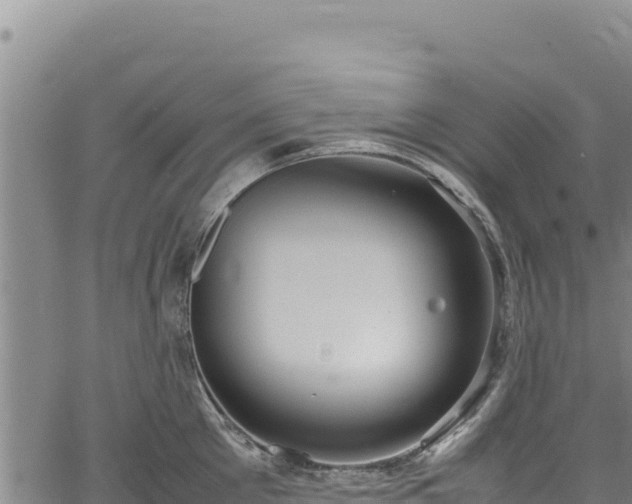 X0000064770905200602131313