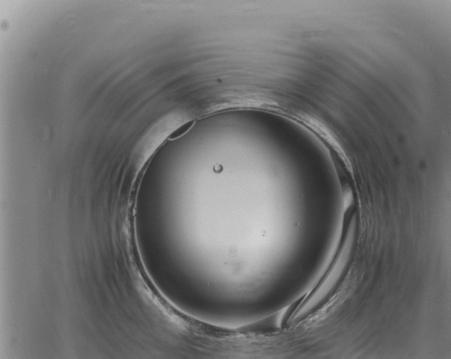 X0000064770906200602131313