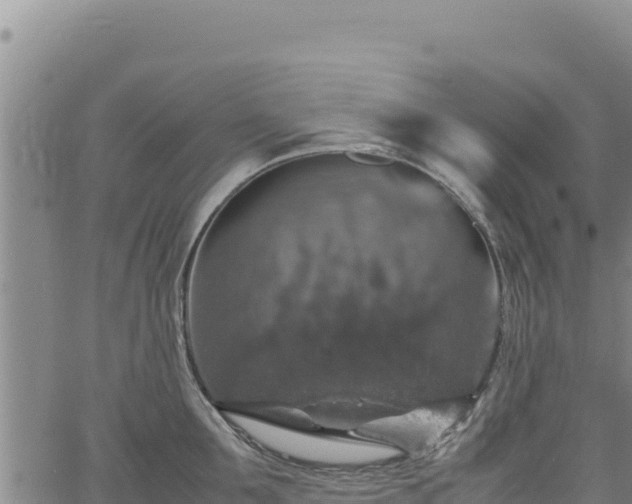 X0000064770907200602131313