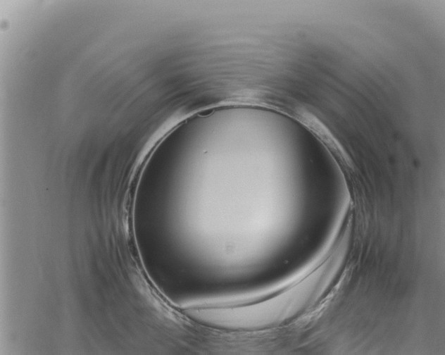 X0000064770908200602131313