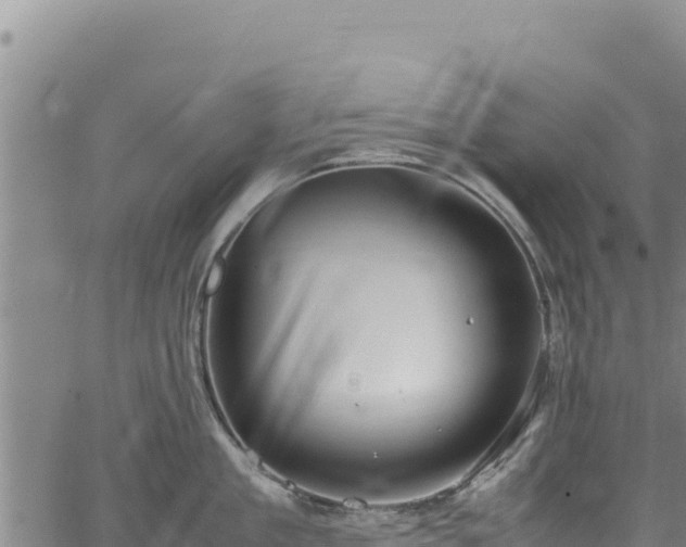 X0000064770909200602131313