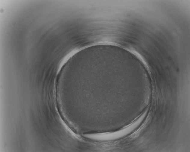 X0000064770910200602131313