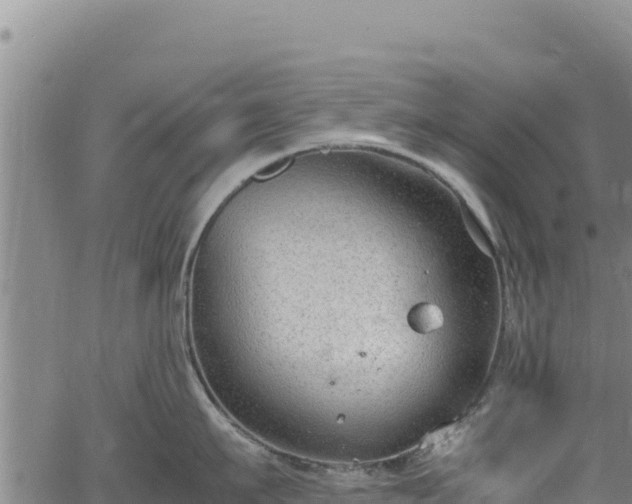 X0000064770911200602131313