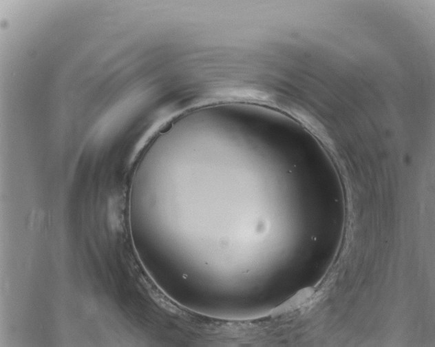 X0000064770912200602131313