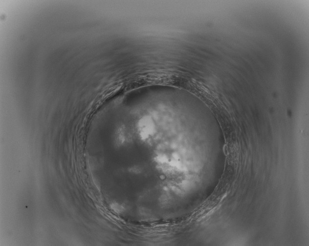 X0000064770913200602131312