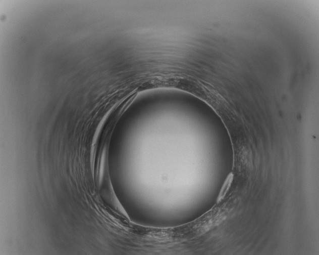 X0000064770914200602131312