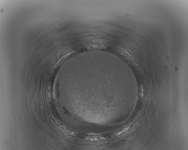 X0000064770915200602131312