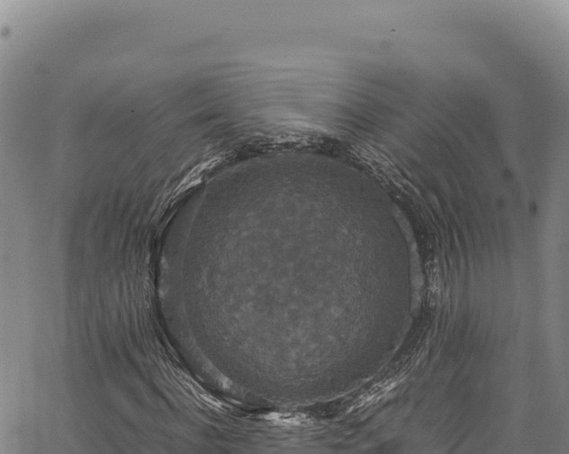 X0000064770916200602131312