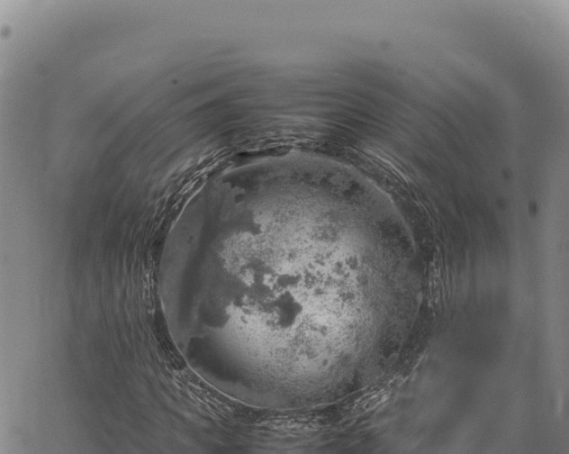 X0000064770917200602131312