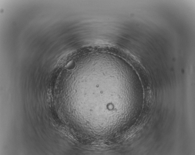 X0000064770918200602131312