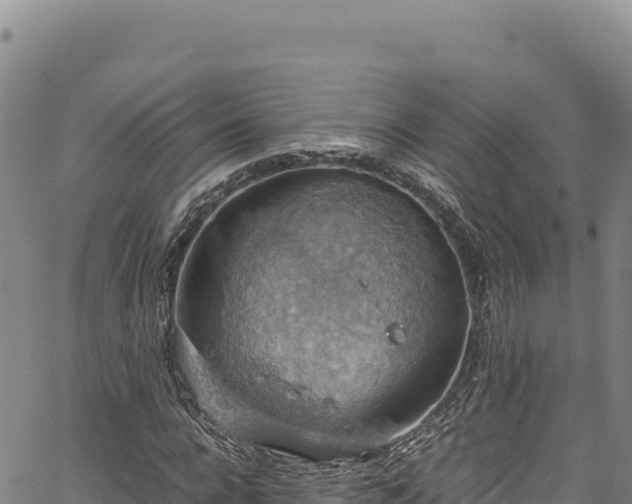 X0000064770920200602131313