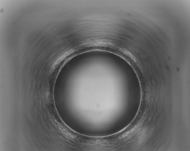 X0000064770922200602131313