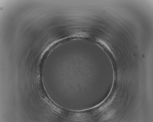 X0000064770923200602131313