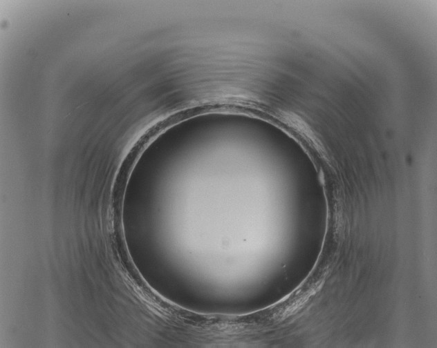 X0000064770924200602131313