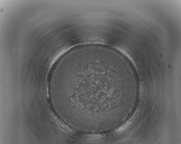 X0000064770925200602131313