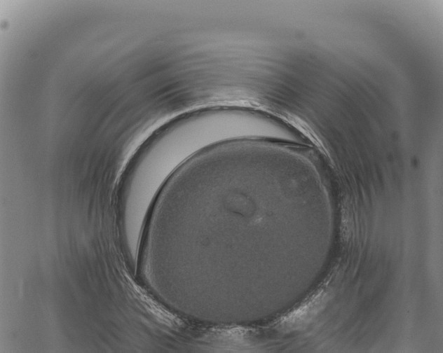 X0000064770926200602131313