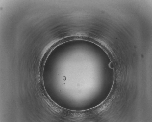 X0000064770927200602131313