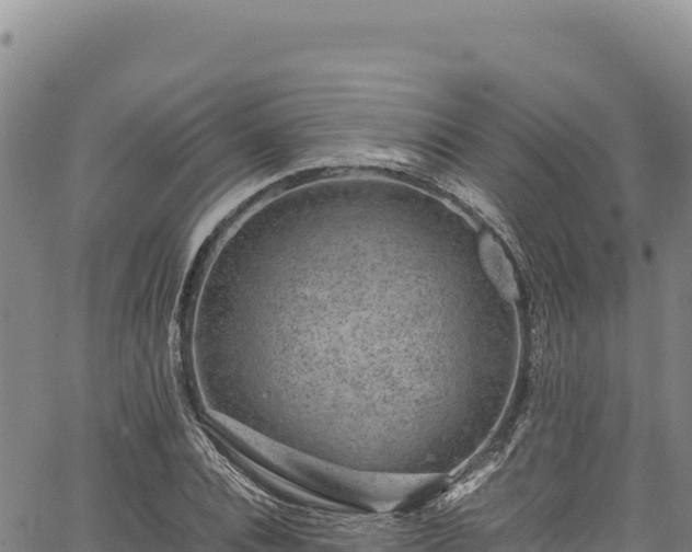 X0000064770928200602131313