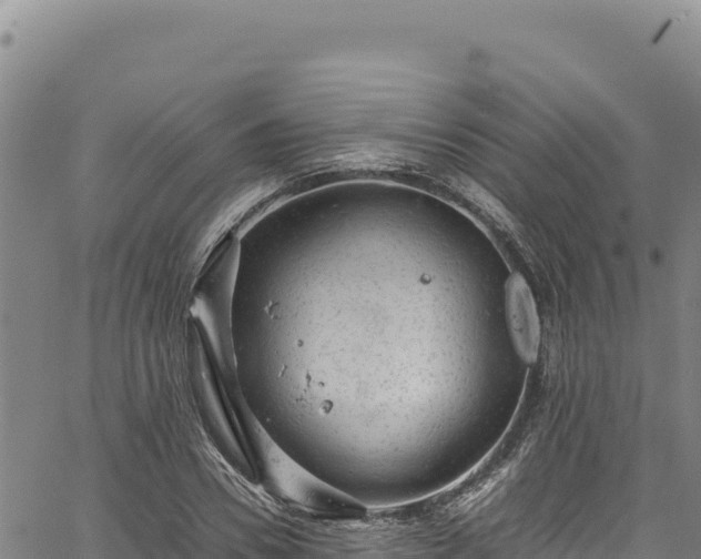 X0000064770930200602131313