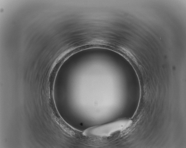 X0000064770931200602131313