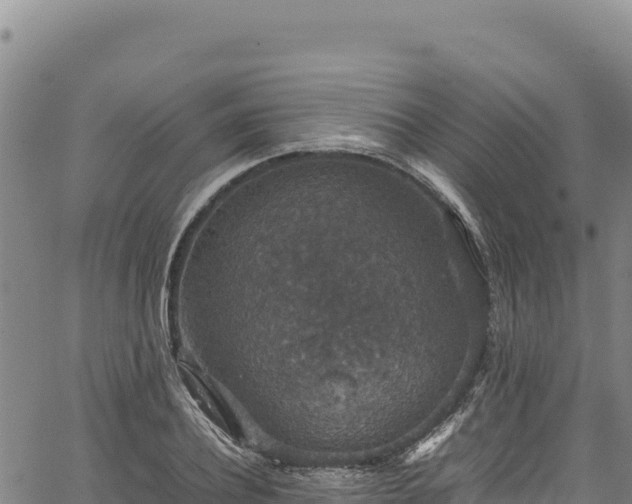 X0000064770932200602131313