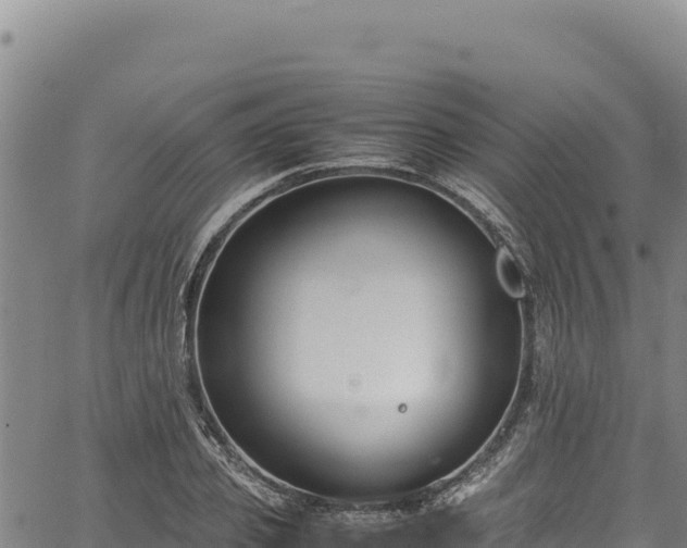 X0000064770933200602131313