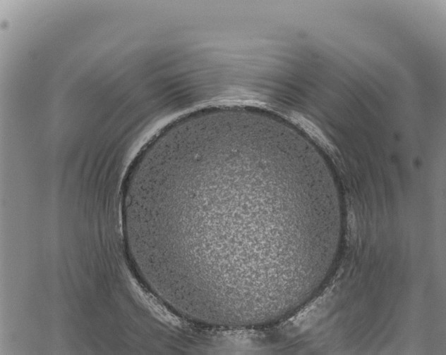 X0000064770934200602131313