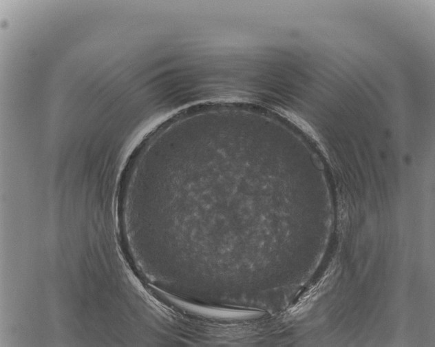 X0000064770935200602131313