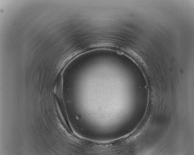 X0000064770937200602131313