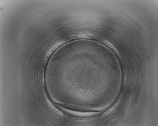 X0000064770938200602131313