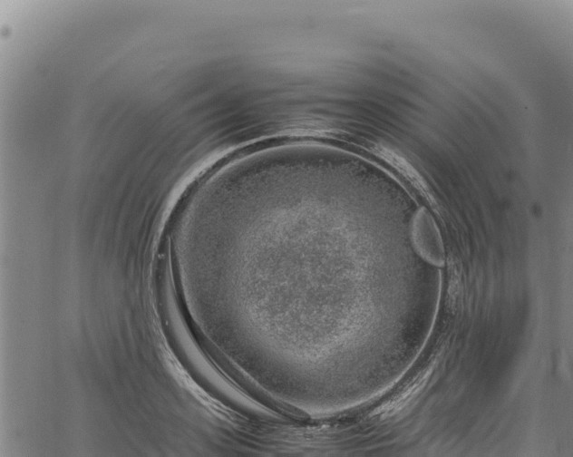 X0000064770939200602131313