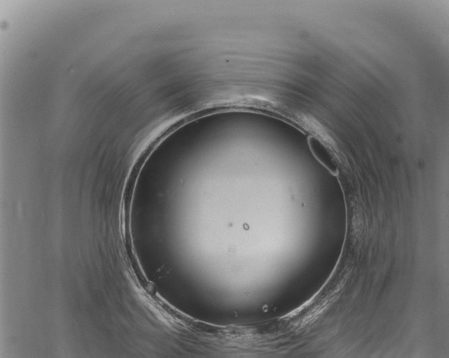 X0000064770940200602131313