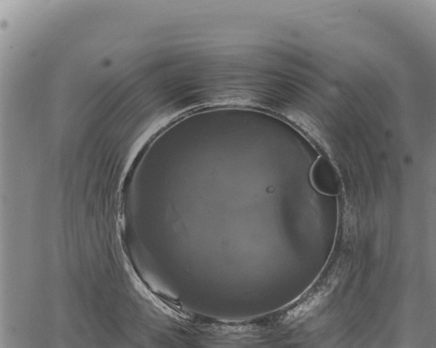 X0000064770941200602131313