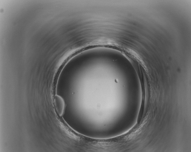 X0000064770942200602131313