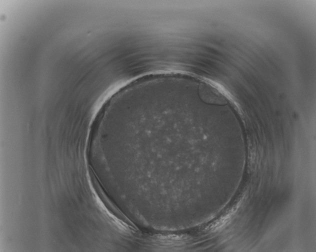 X0000064770943200602131313