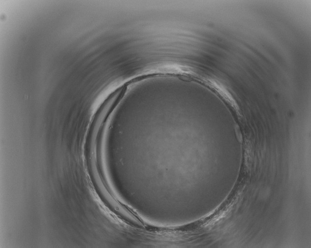 X0000064770944200602131313