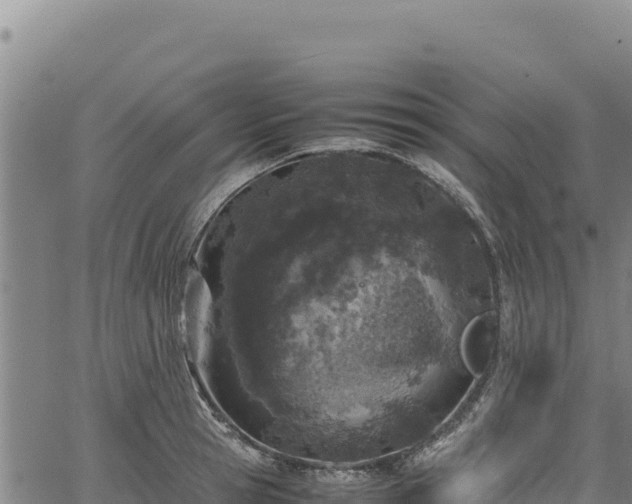 X0000064770945200602131313