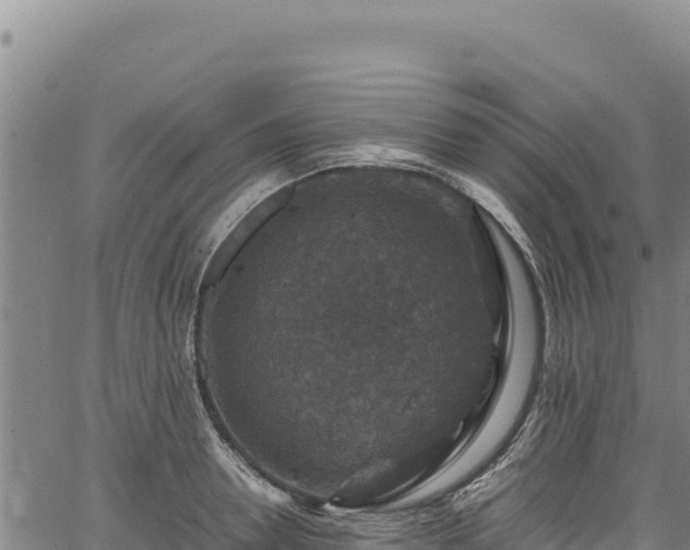 X0000064770946200602131313