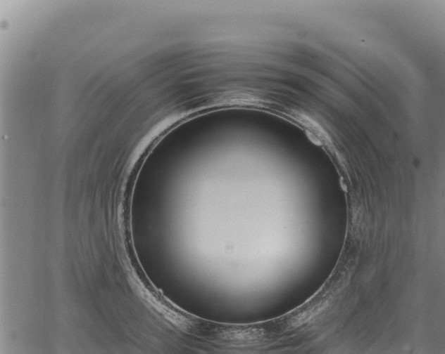 X0000064770947200602131313